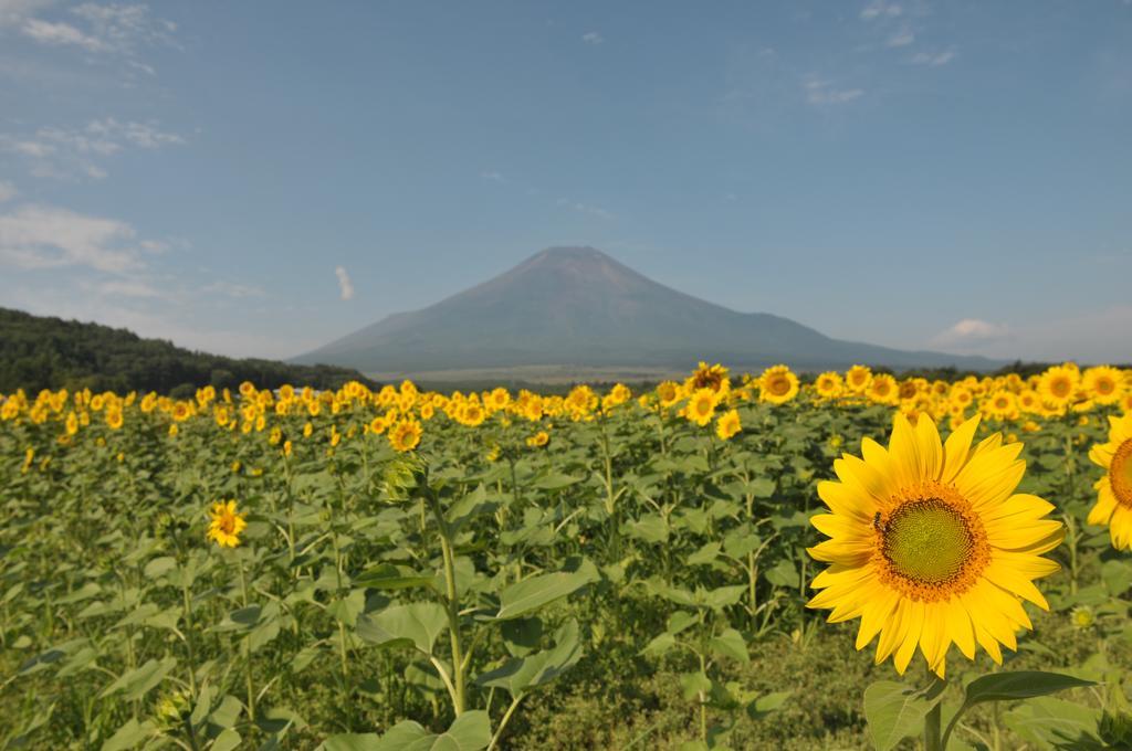 Inn Yamanami Яманакако Екстериор снимка